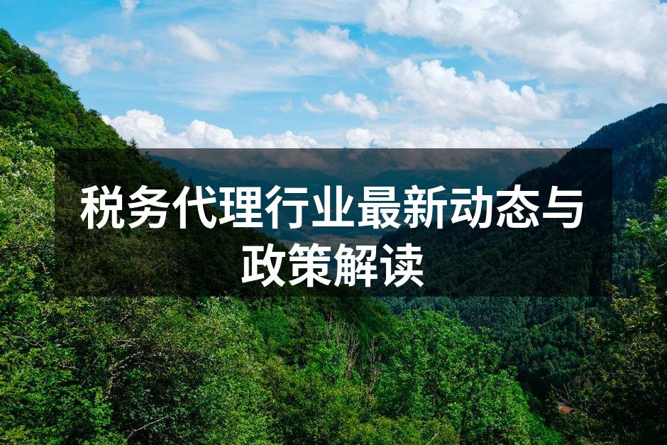 税务代理行业最新动态与政策解读