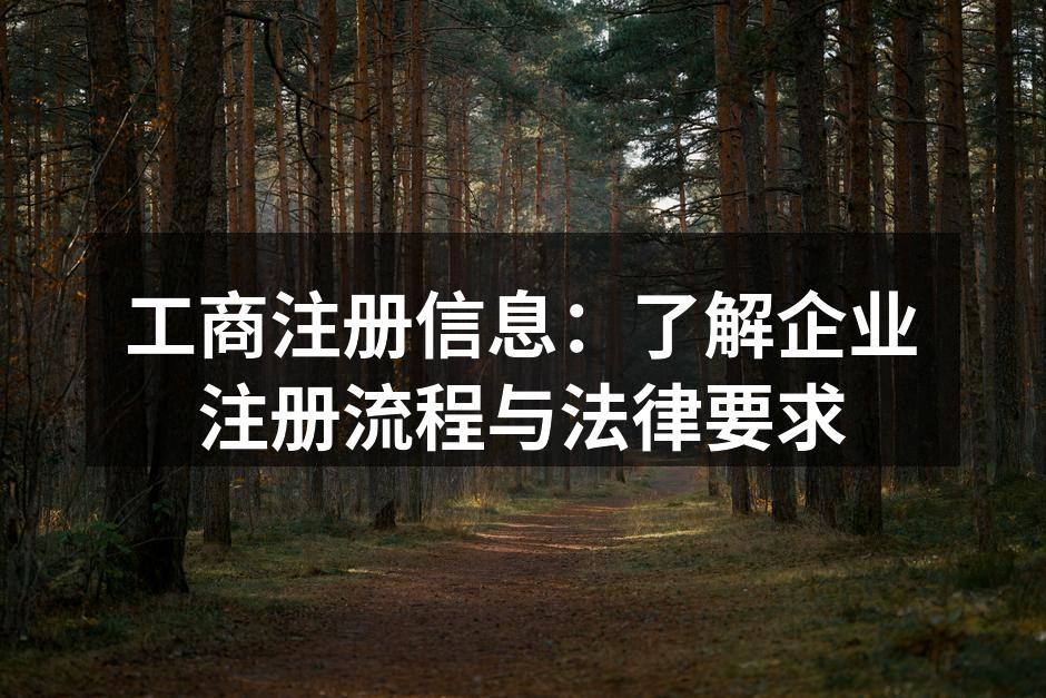 工商注册信息：了解企业注册流程与法律要求