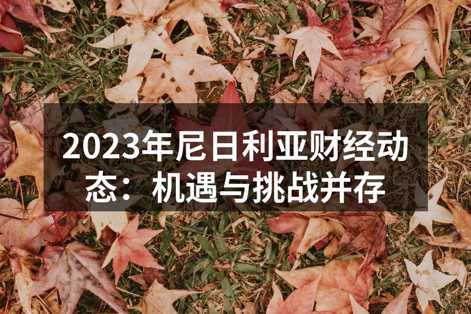 2023年尼日利亚财经动态：机遇与挑战并存