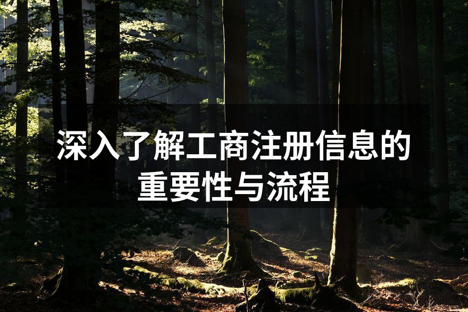 工商注册流程图解