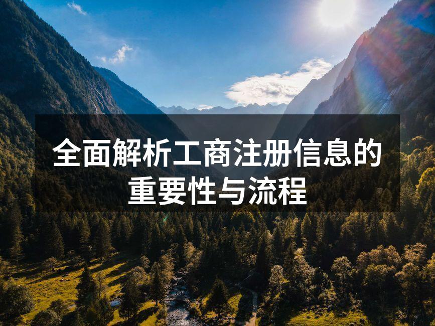 全面解析工商注册信息的重要性与流程